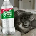 AlspriteCranberry emote for Discord