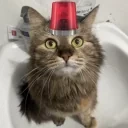 Alarm emote for Discord