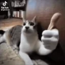 alright emote for Discord