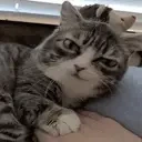 AlrightContinue emote for Discord