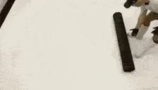 Alfombra emote for Discord