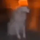 ALERTdog emote for Discord