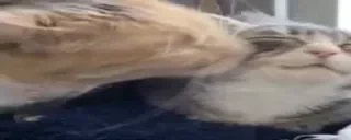 AlrightLickW emote for Discord