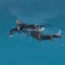 alhaithamdrown emote for Discord