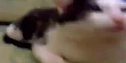 alarm emote for Discord