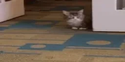 AlrightArrivesToGetPettedW emote for Discord