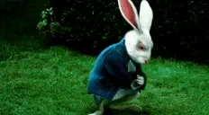 AllRoadsLeadToRoam emote for Discord