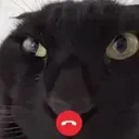 Aloo emote for Discord