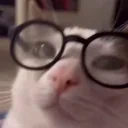 AliceContrariata emote for Discord