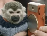 alebenger emote for Discord