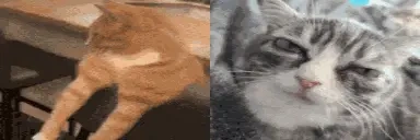 AlrightMogged emote for Discord