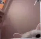 AlmostPunching emote for Discord