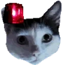 alertcalvo emote for Discord