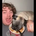 ALBEEERT animated emote for Discord, Twitch and Slack