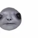 Albinaurico emote for Discord