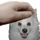 alaskaPET emote for Discord