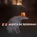 ALERTARESENHA emote for Discord
