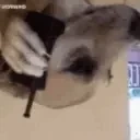 ALAUR emote for Discord