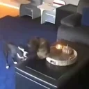 allgood emote for Discord