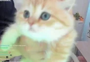 alaniHi emote for Discord