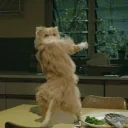 alexdnce emote for Discord