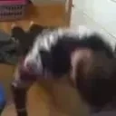 albagubrath82 emote for Discord