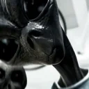 alienwhat emote for Discord