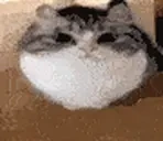 alrighty emote for Discord