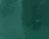 aliveaftercringe emote for Discord