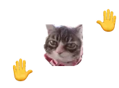 AlrightLero emote for Discord