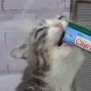 AlrightEat emote for Discord