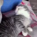 AlrightAttack emote for Discord