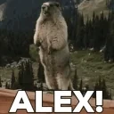 ALEX emote for Discord