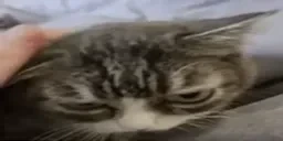 AlrightAnswerW emote for Discord