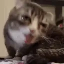 AlrightClean emote for Discord