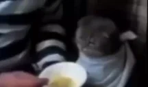 am emote for Discord