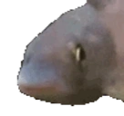 AMAM emote for Discord