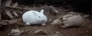 AMBUSH emote for Discord