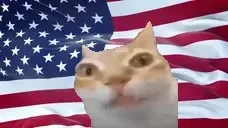 american emote for Discord