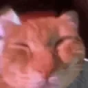 AMBATUMEOW emote for Discord