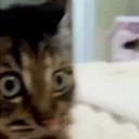 amaze emote for Discord