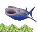 AmegaWhale emote for Discord