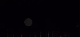 amethyst emote for Discord