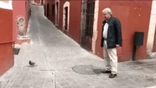 AMLOPALOMA emote for Discord