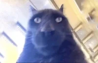 AhH emote for Discord