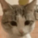 AINTNOWAY emote for Discord