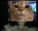 AINTNOWUH emote for Discord