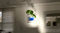 AINTNOWAYkermit emote for Discord