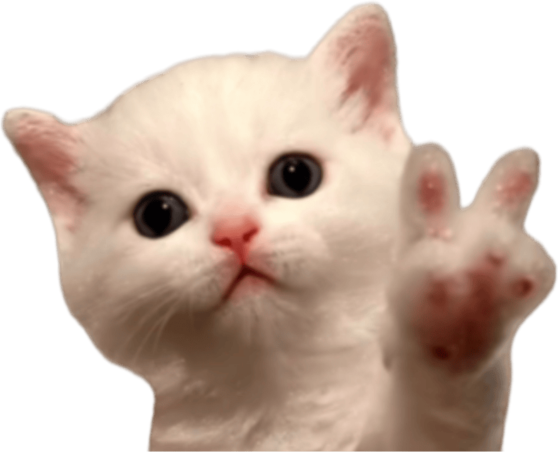 kittenpeace emote for Discord