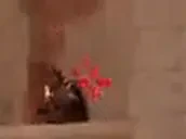 aim emote for Discord